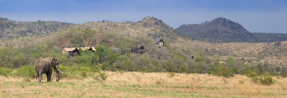 Tshukudu Bush Lodge Ледиг Экстерьер фото