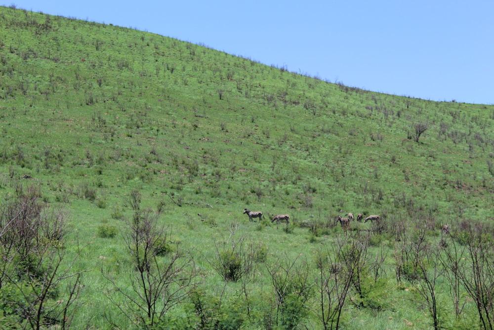 Tshukudu Bush Lodge Ледиг Экстерьер фото