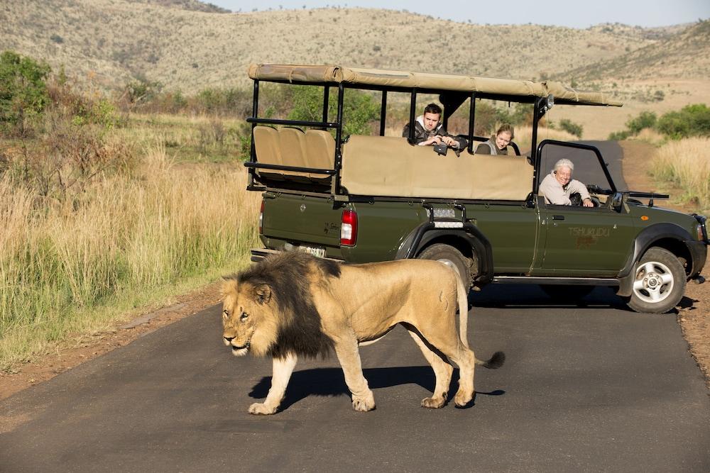 Tshukudu Bush Lodge Ледиг Экстерьер фото