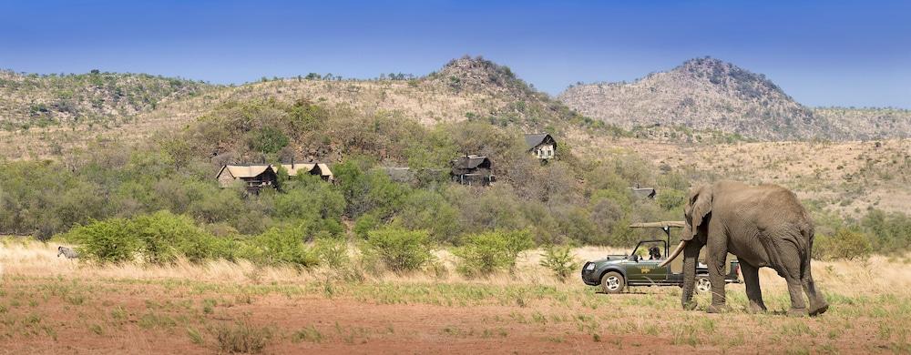Tshukudu Bush Lodge Ледиг Экстерьер фото